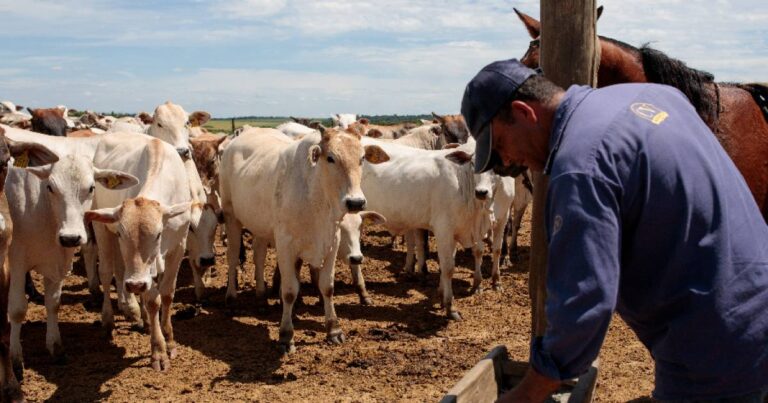 CNA classifica veto da União Europeia à carne brasileira como injustificado e exige resposta